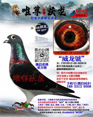 Ψ��Ծ������918����ֱ�ӡ�����̖��