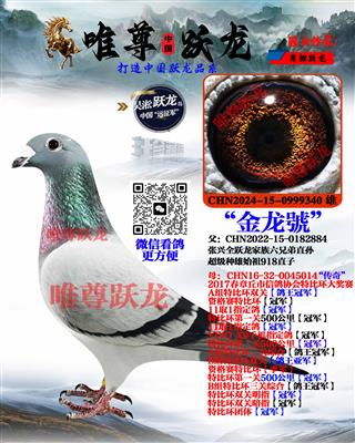 唯尊跃龙家族918代表直女【独眼雌】 图片8
