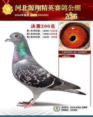 �ӱ�Դ�贺�500�������200��