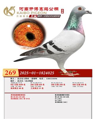 ���Ͽ������500�������269����