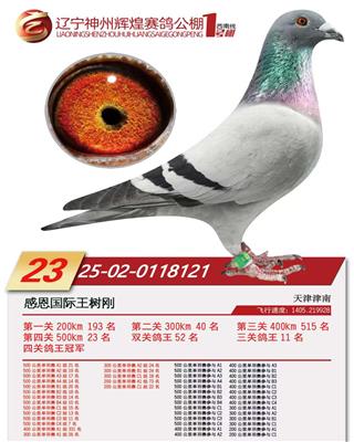 25�����ݻԻ�1�����Ĺظ����ھ�