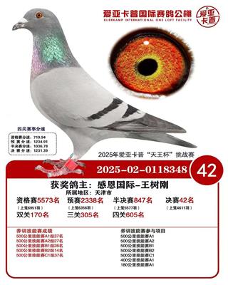 25�갮�ǿ��չ������빫�����42��