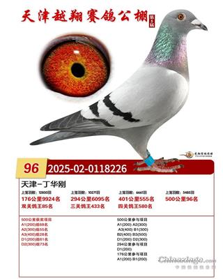 25�����Խ�����빫�����96��