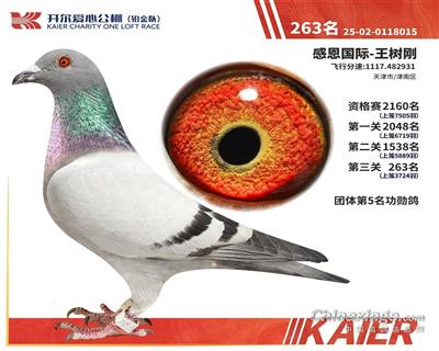25�꿪�����Ĺ������ӣ�����263��