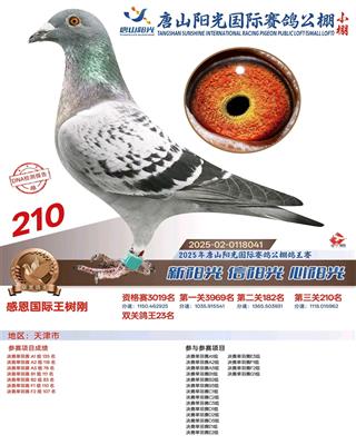 25����ɽ�������빫��С�����210��
