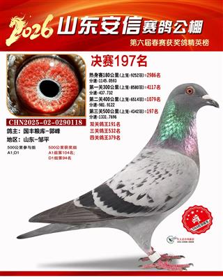 2026��ɽ���������봺�����197��