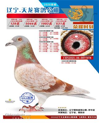 2025年辽宁天龙大棚决赛826名 图片5