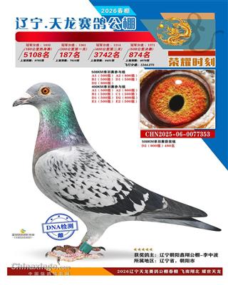 2025年辽宁天龙大棚决赛826名 图片4