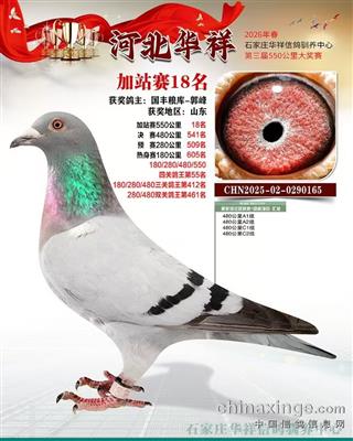 �ӱ��������빫���ս18��
