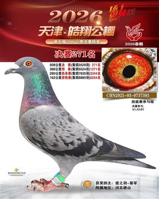 2026�������贺��ɼ���