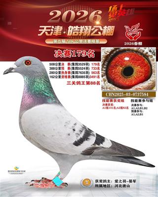 2026�������贺��ɼ���