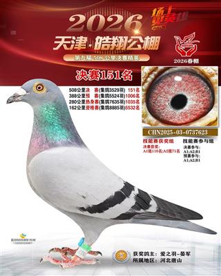 2026�������贺��ɼ���