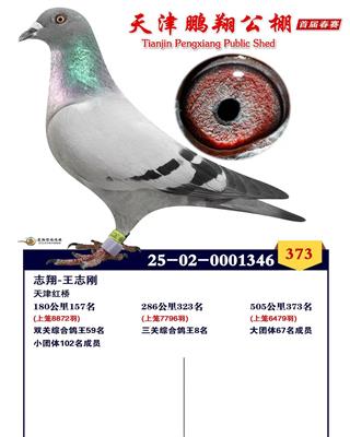 德国五虎将之一“奥赛尔王” 图片5