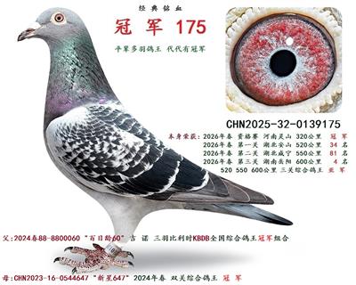2026�괺 �����ۺϸ��� �� ��