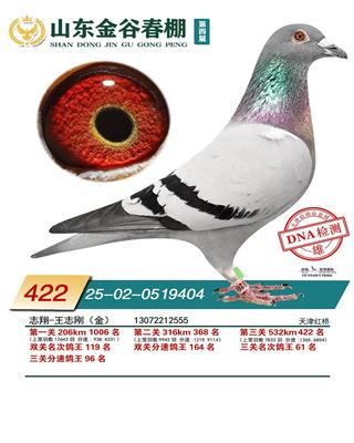 德国五虎将之一“奥赛尔王” 图片4
