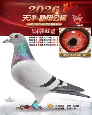 德国五虎将之一“奥赛尔王” 图片3