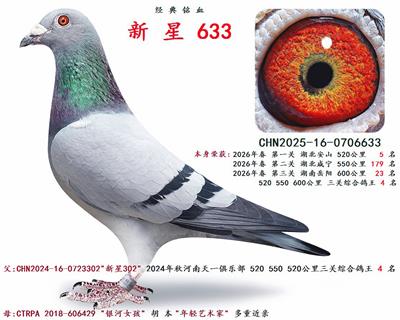 2026�괺 �����ۺϸ��� 4 ��