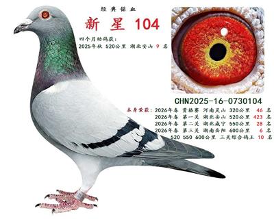 2026�괺 �����ۺϸ��� 10 ��