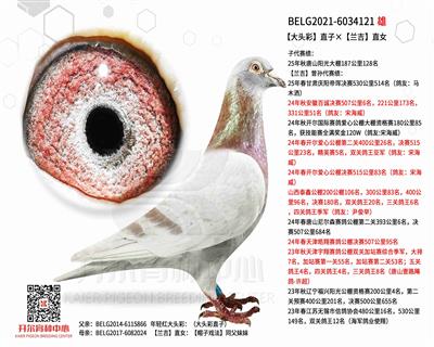 ��������ͷ�ʡ���������ֱŮ��