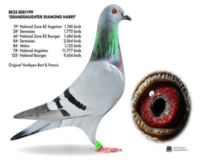 ����13580��ȫ��46��
