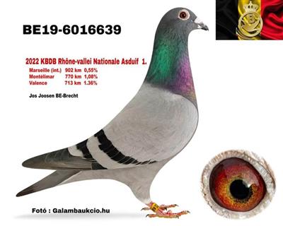 ¡�ӹ�ȫ�������ھ�