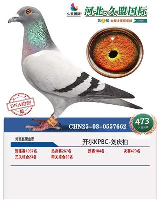 26�괺�ӱ������Ĺظ���23������473