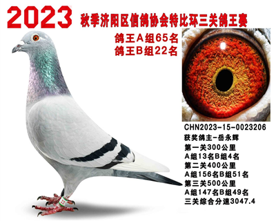����22��