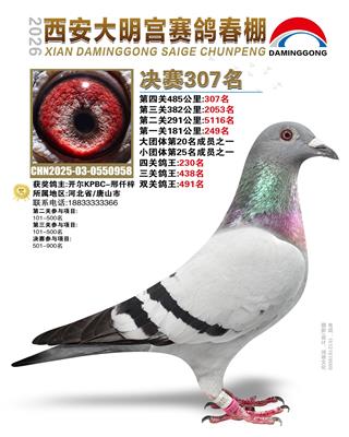 26�괺��������������307��