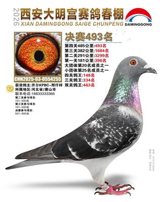 26�괺��������������493��