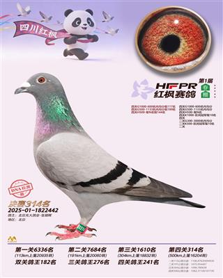 �Ĵ���㴺�314��
