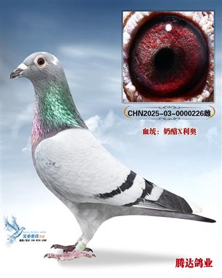 ��ָ���������ֱŮ226