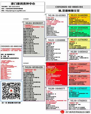 正在火热拍卖中 图片2