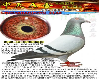 �Ǳ�³��