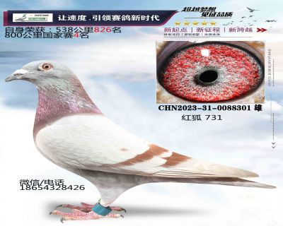 ���731