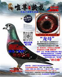 ͬ�ѡ���ĸ��