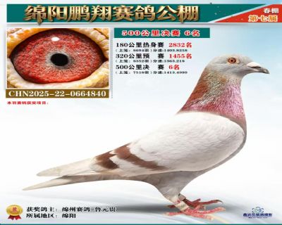 �������贺��6λ