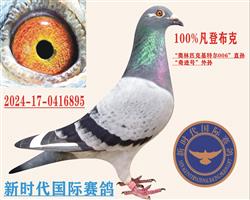 武汉金岛赛鸽公棚预赛183名.决赛231 图片3