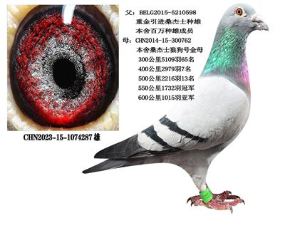 ɣ��ʿ������������901