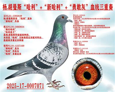 ��.����˹������+�¸һ�+�¹�����