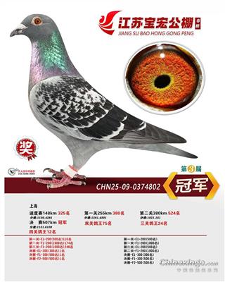 2026�����ձ��깫������ھ�