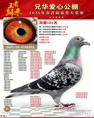 2026�������ֻ����Ĺ�������ھ�