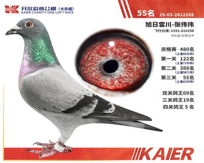 26�꿪�������Ĺظ���5������55
