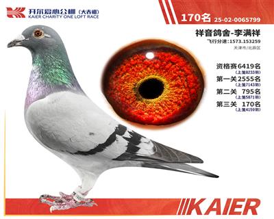 26�꿪���������170��