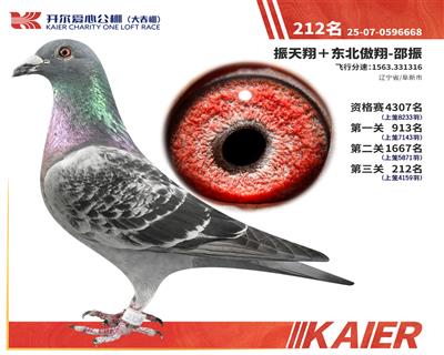 26�꿪���������212��