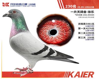 26�꿪���������230��