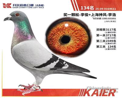26�꿪������134��