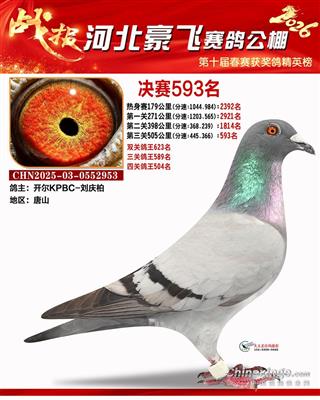26�괺�ػʵ����ɾ���593��