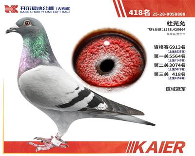 26�꿪����������ھ�������418��
