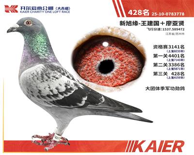 26�꿪���������428��