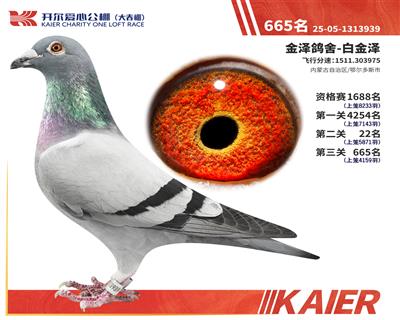 26�꿪���������665��